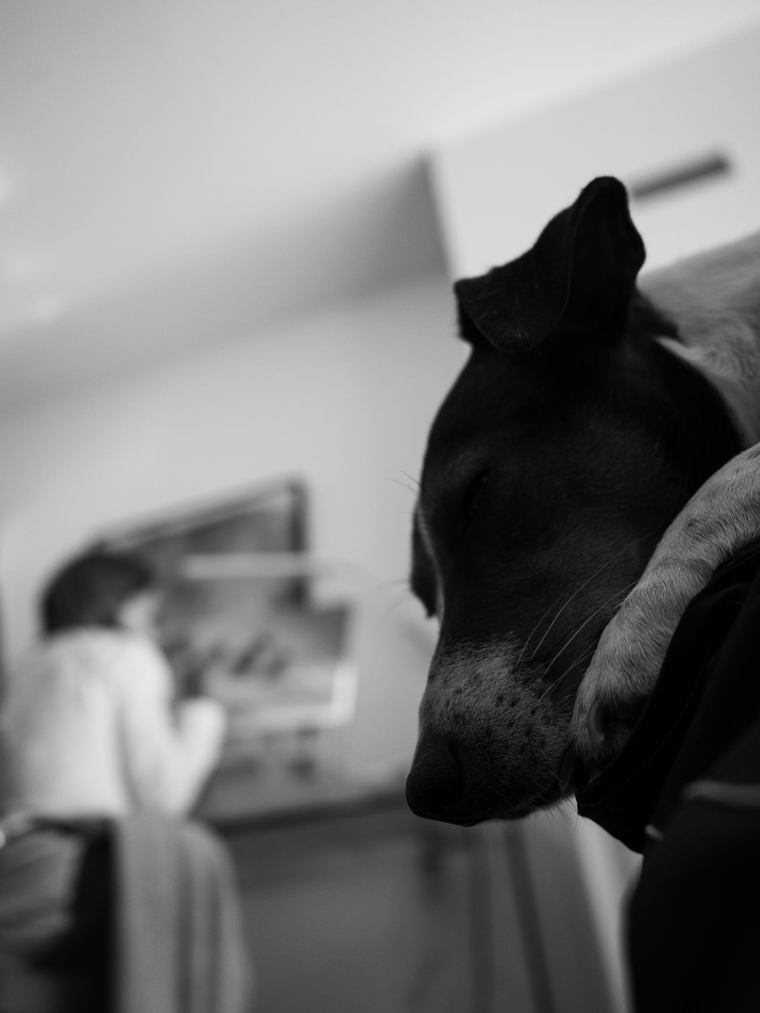 IQUI Art - Study in contrasts exploring strength and vulnerability